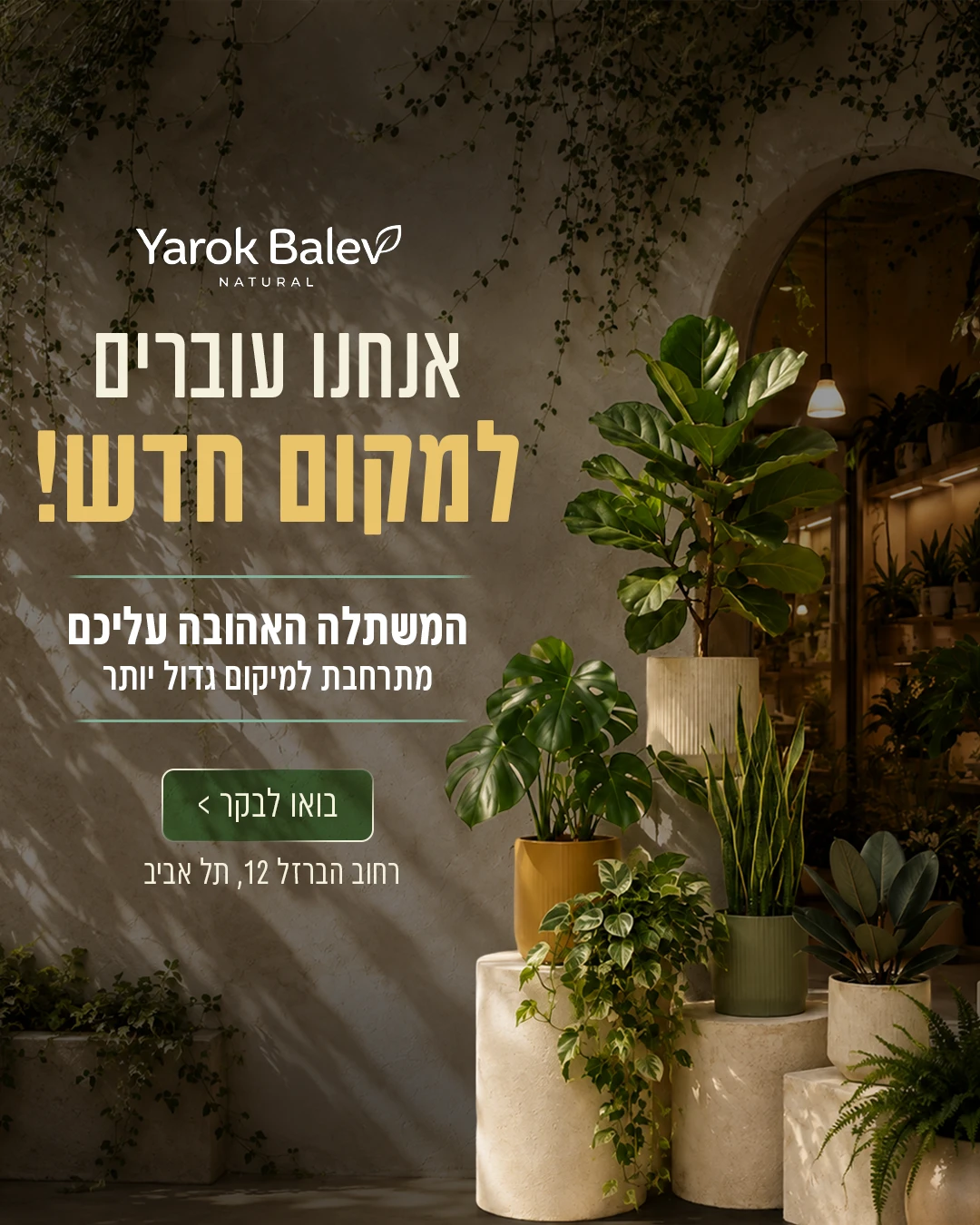 עוברים למקום חדש — Yarok Balev — סושיאל ומודעות | פוסטים בעיצוב AVEXA STUDIO