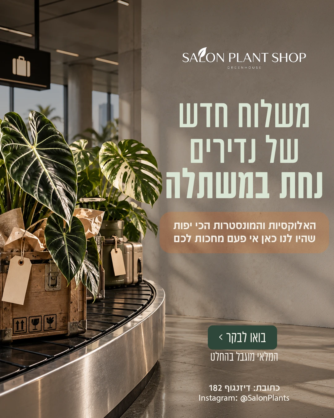 משלוח נדירים — Salon Plant Shop — סושיאל ומודעות | פוסטים בעיצוב AVEXA STUDIO
